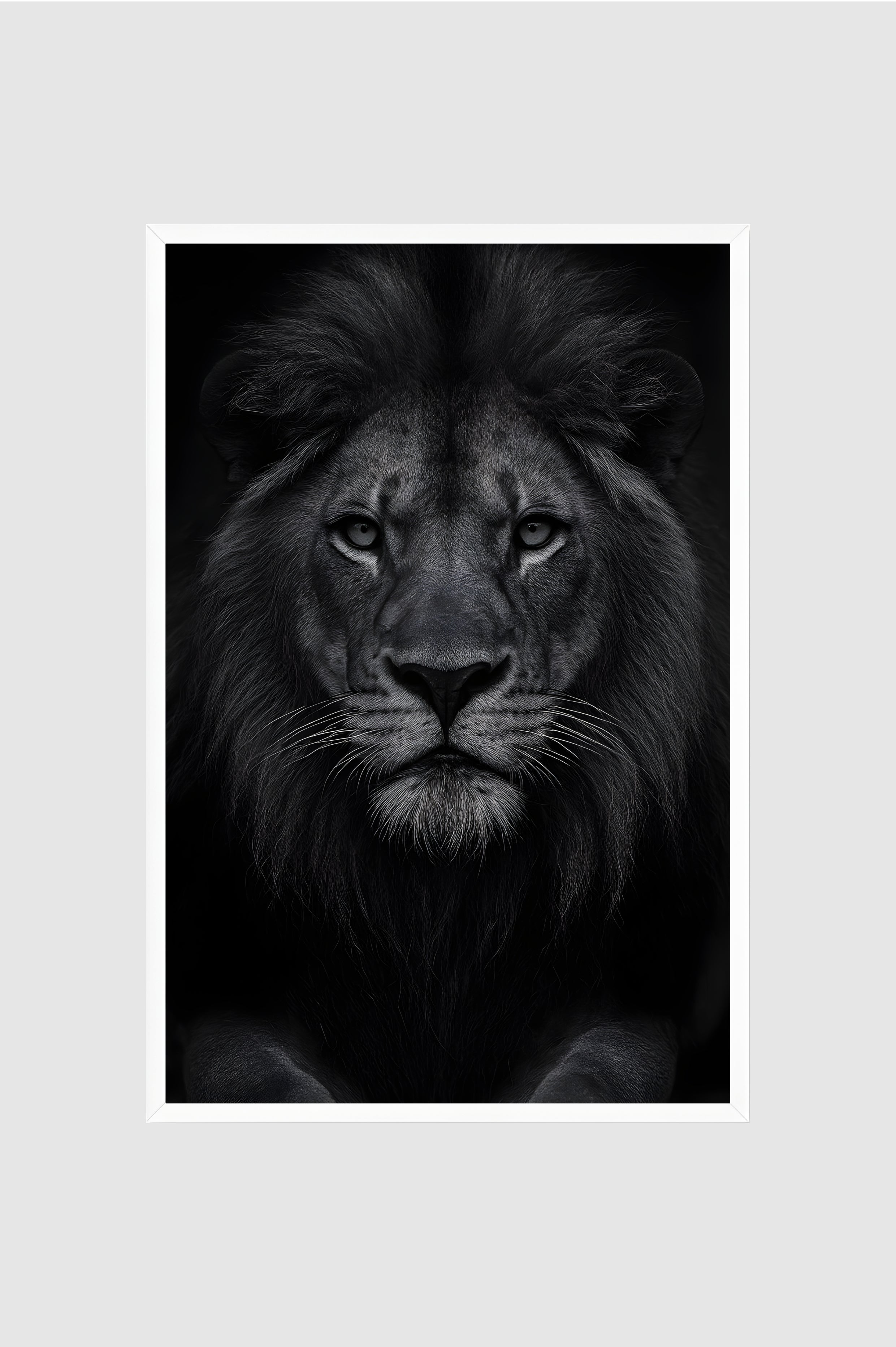 Fauna no.004