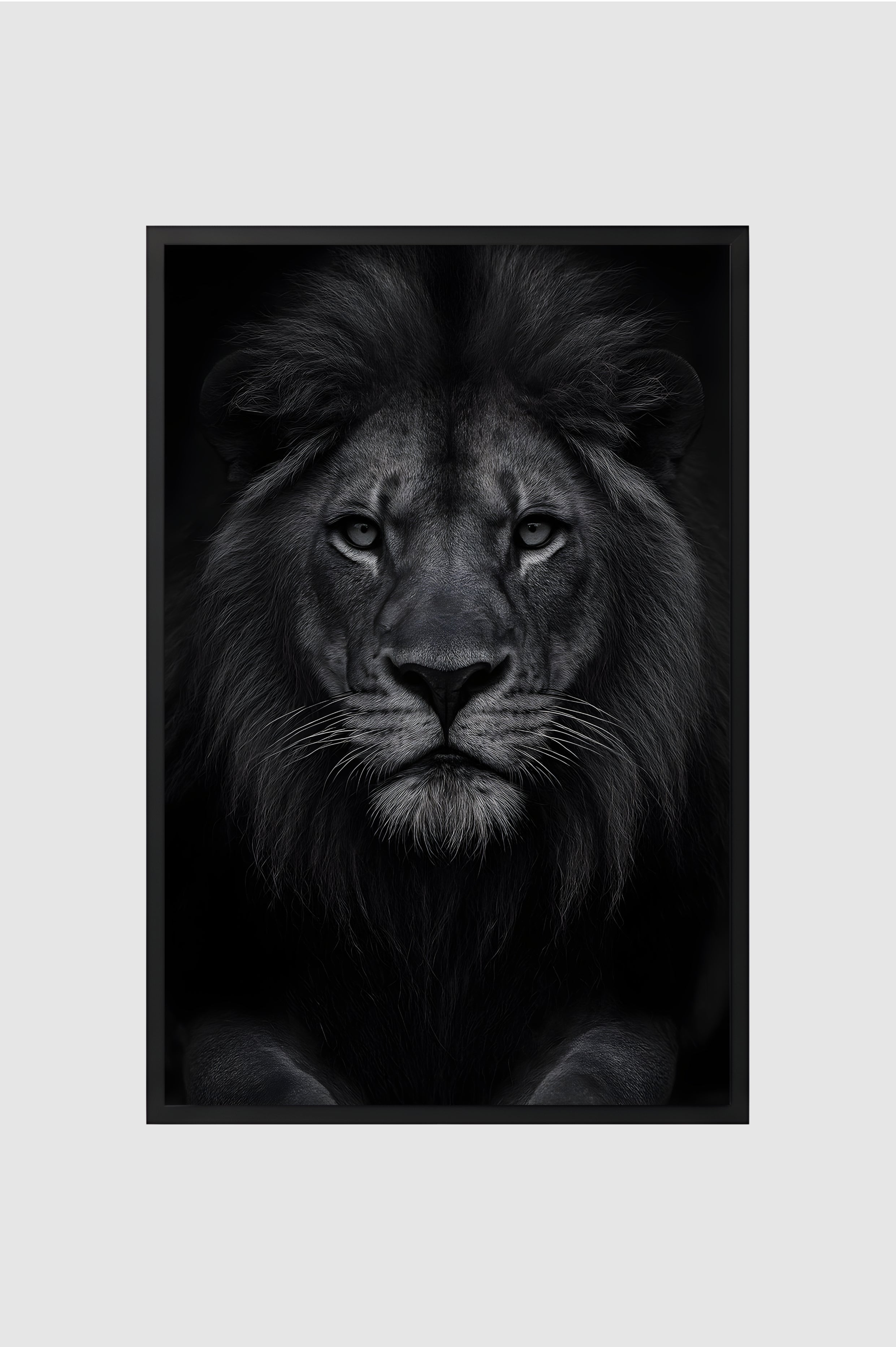 Fauna no.004