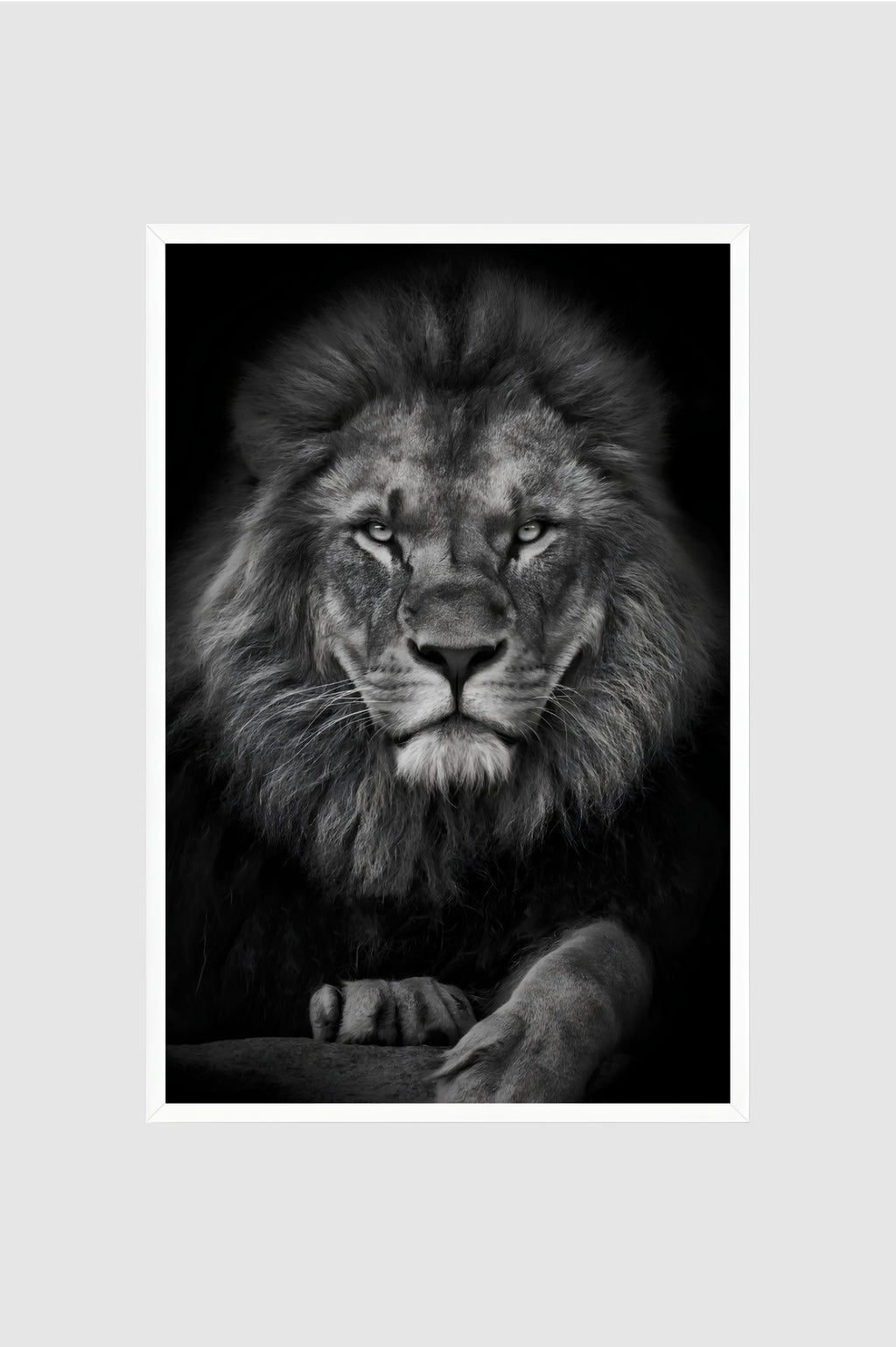 Fauna no.005