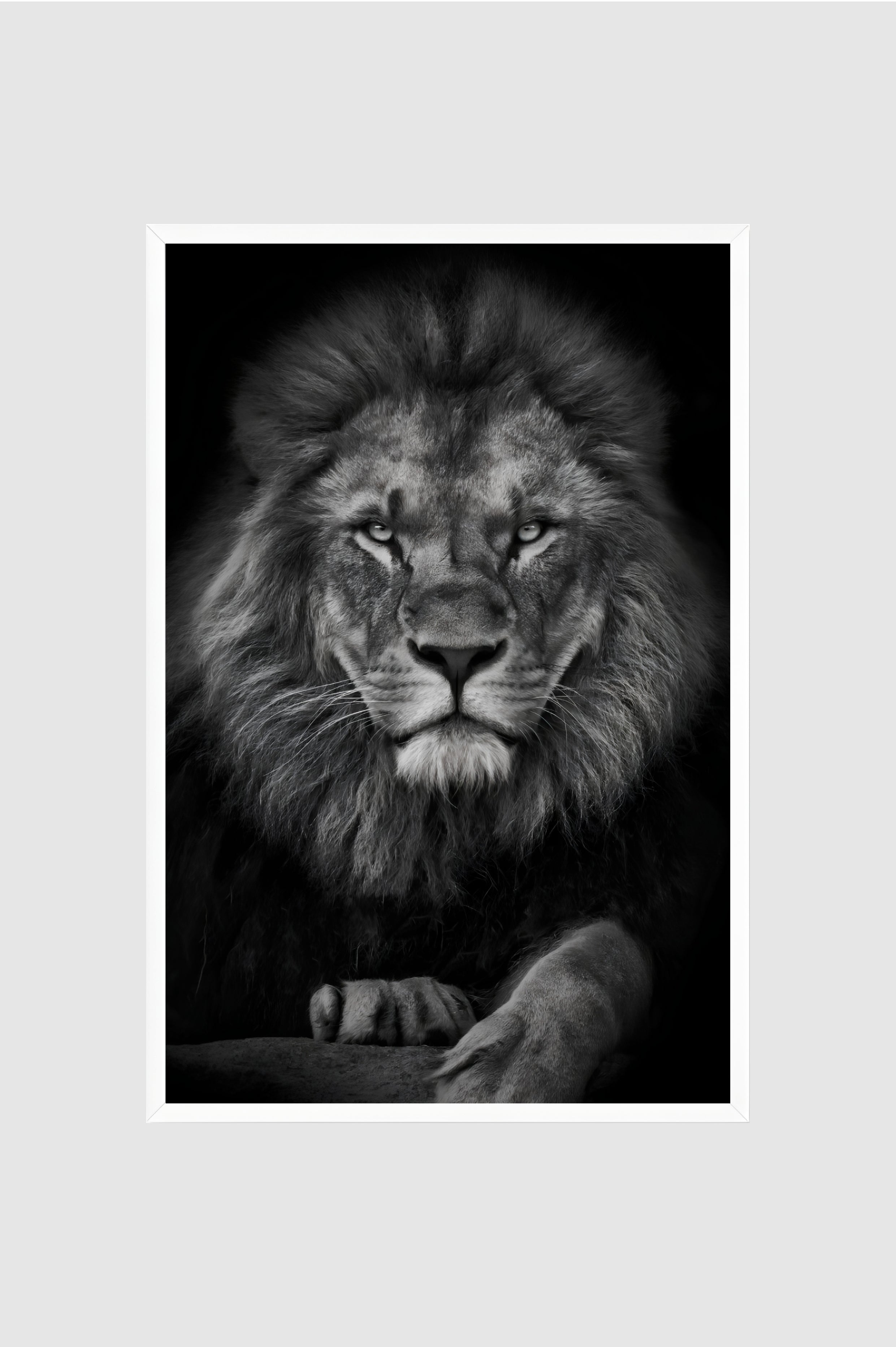 Fauna no.005