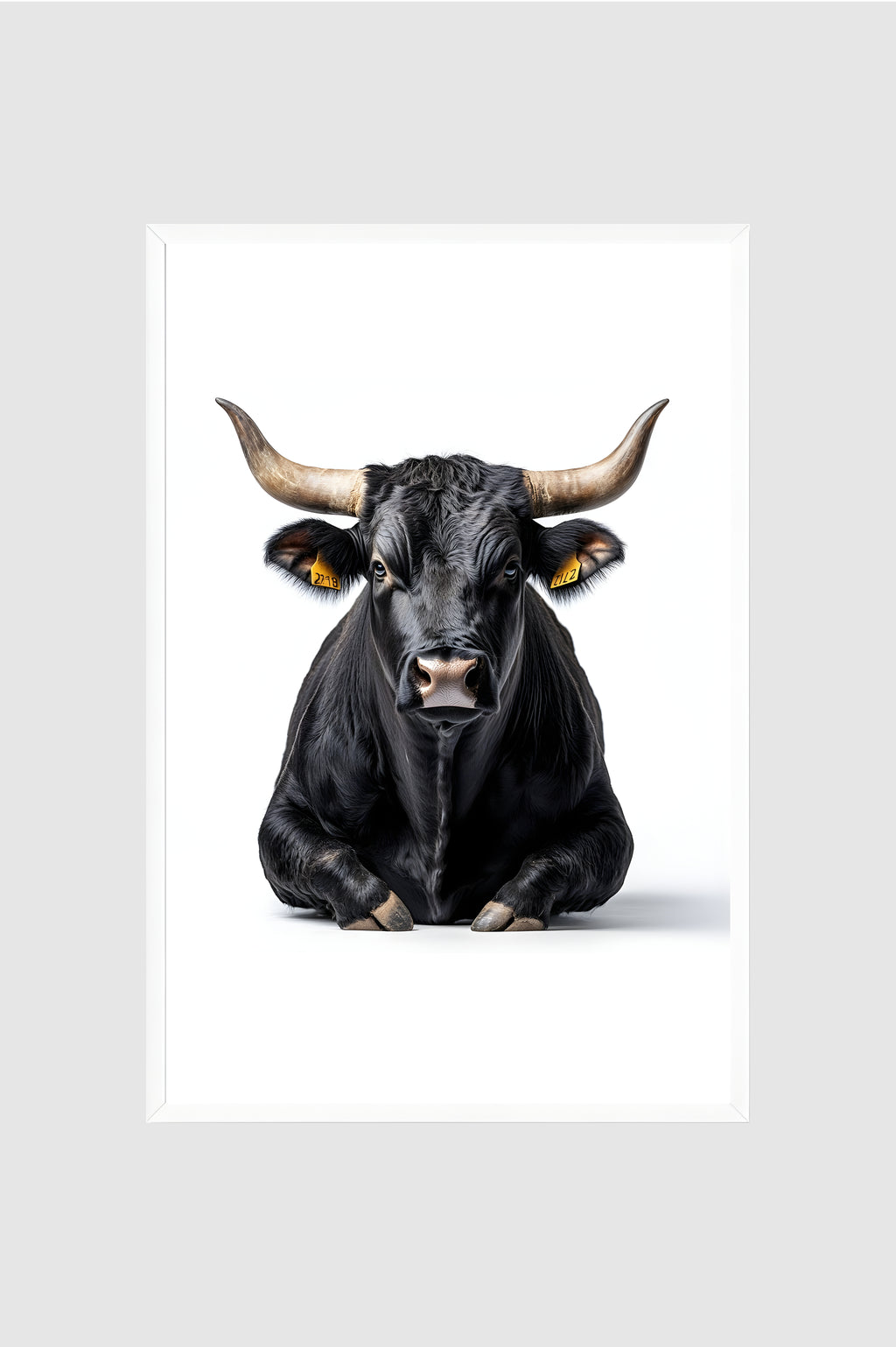Toro no.005