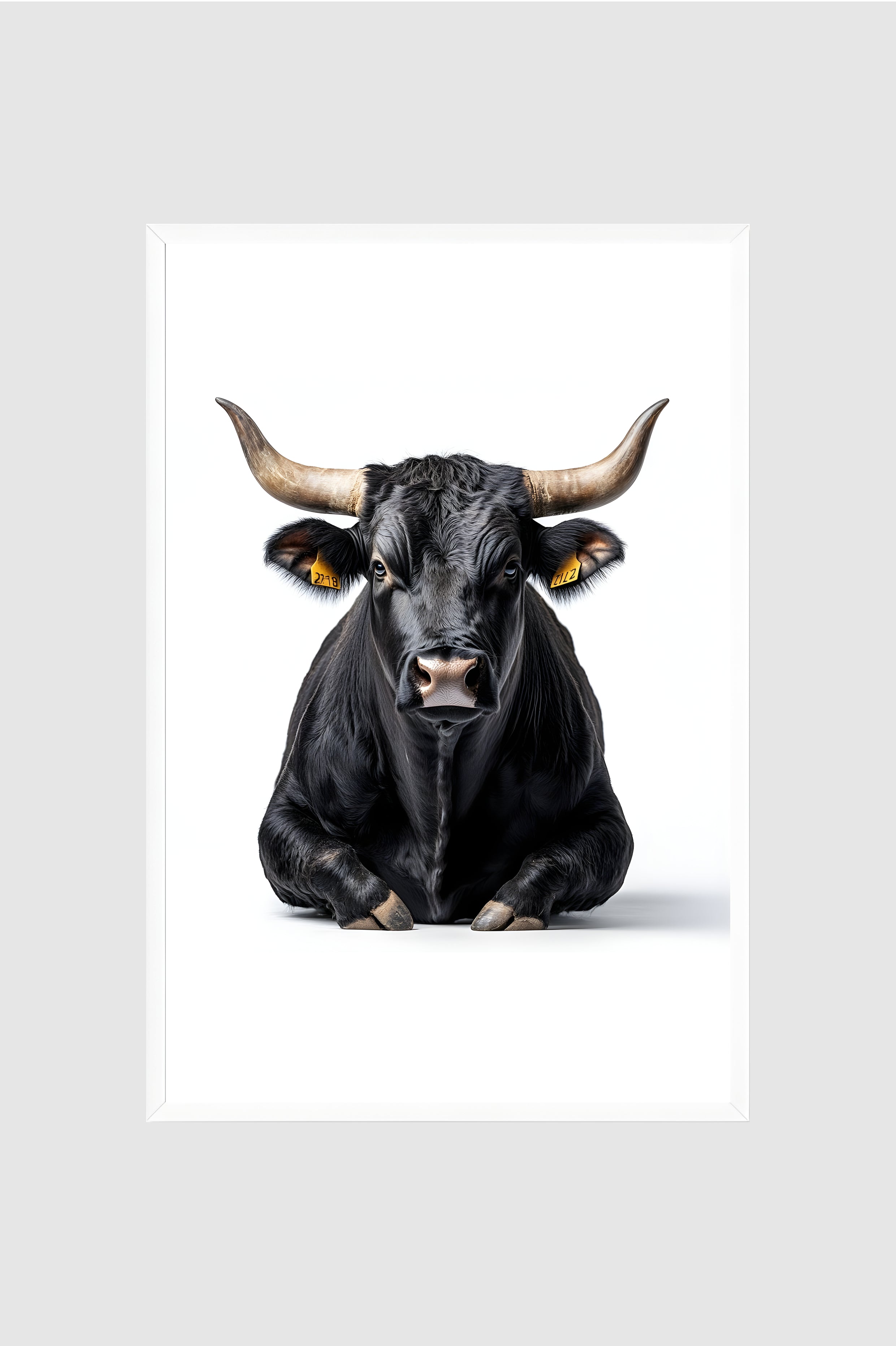 Toro no.005