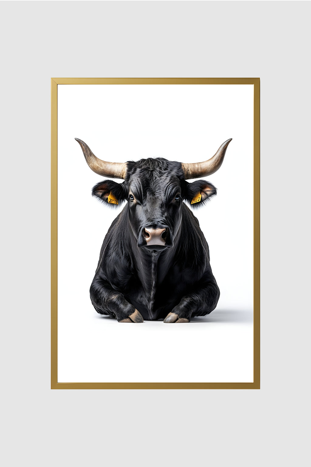 Toro no.005