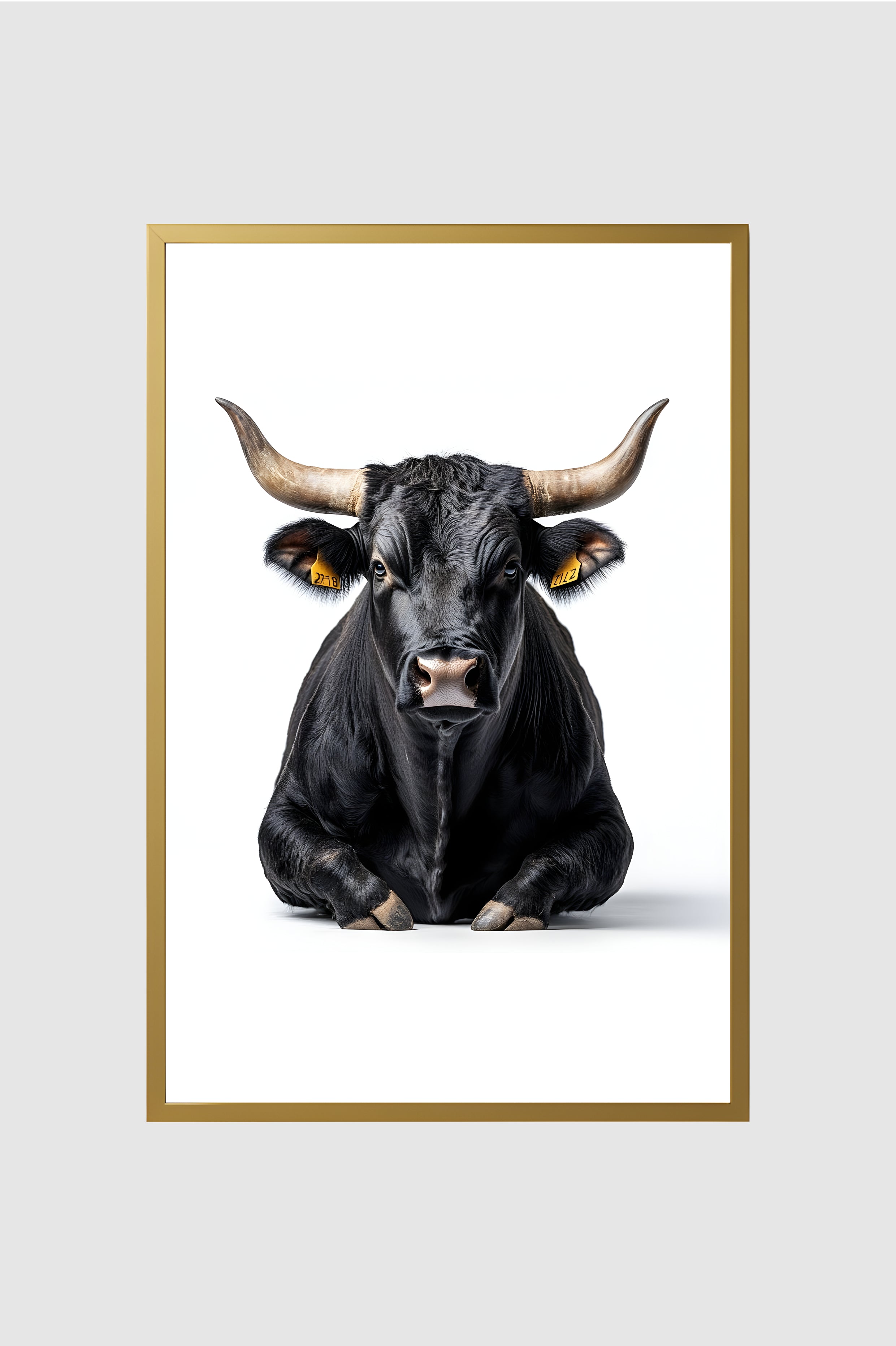 Toro no.005