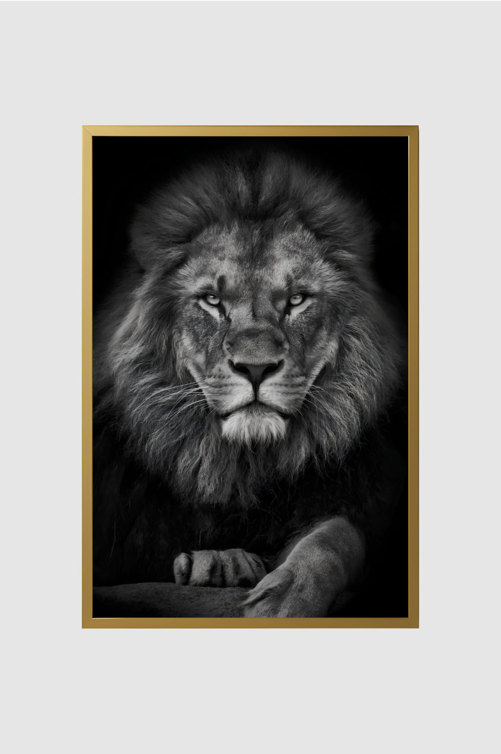 Fauna no.005