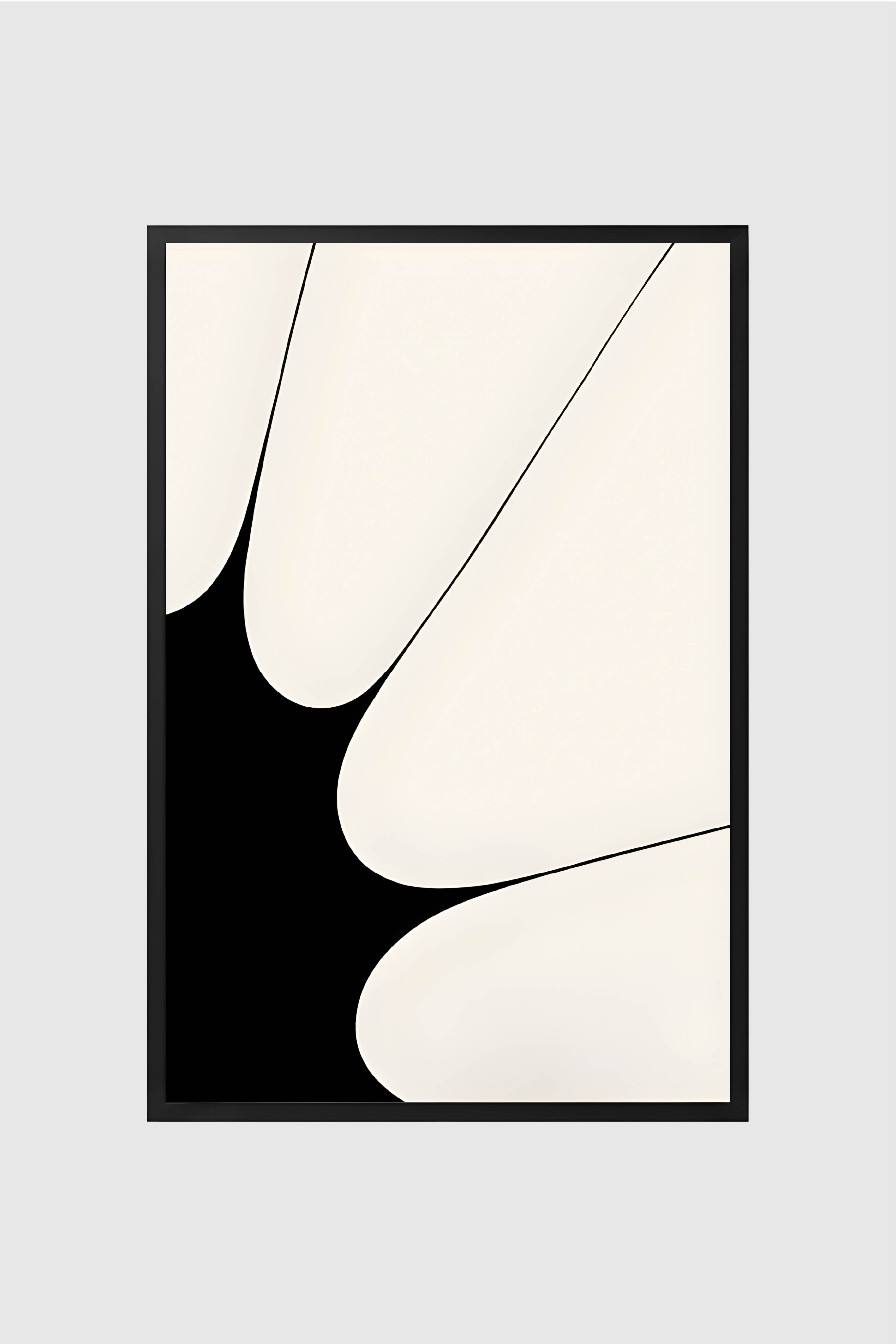 Black and White no.005