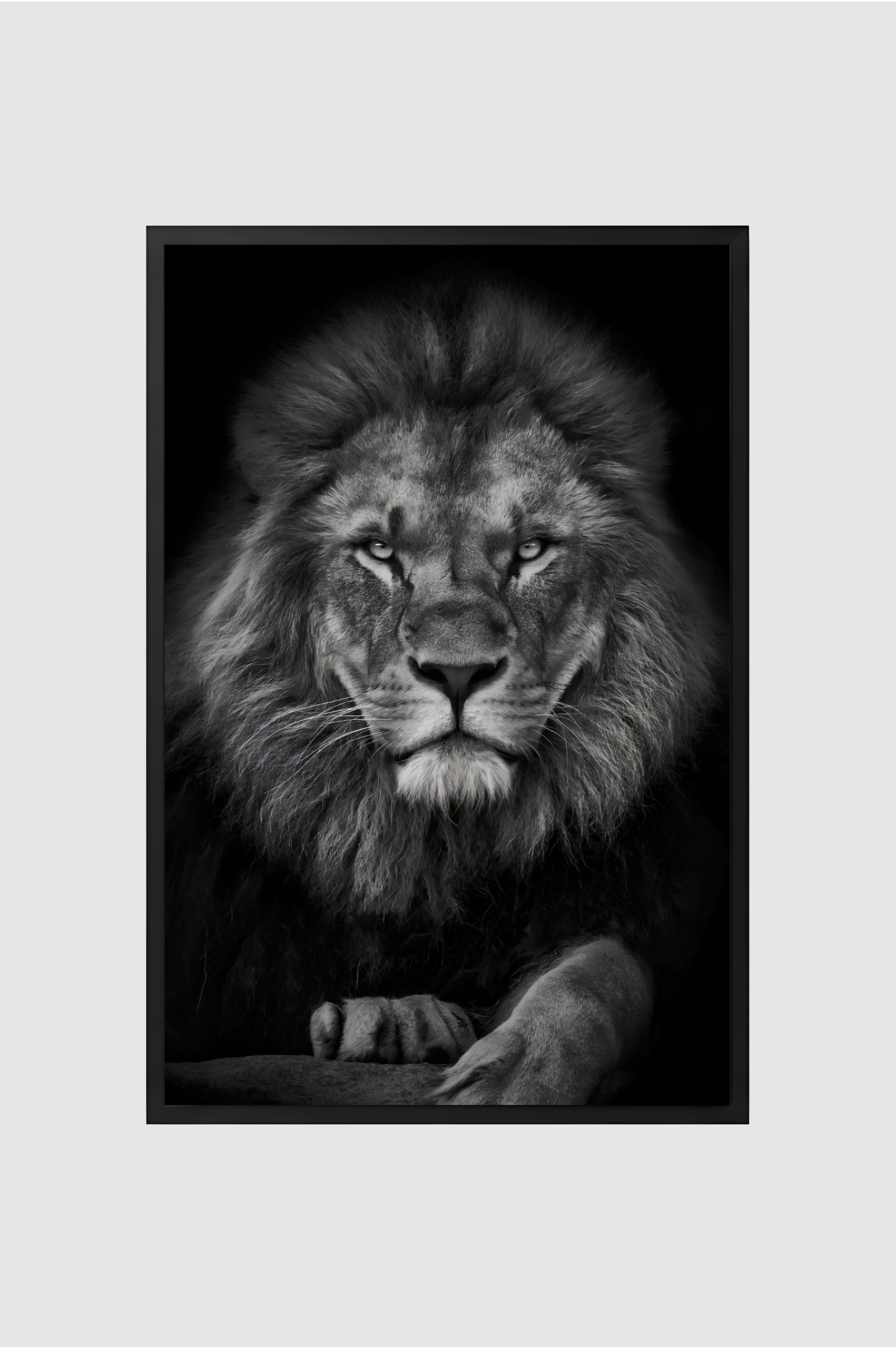 Fauna no.005