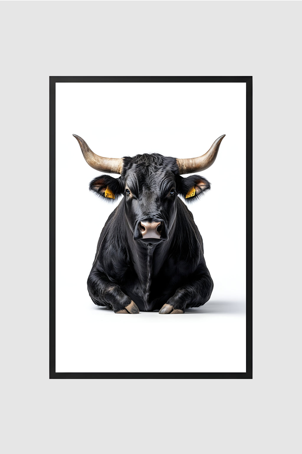 Toro no.005