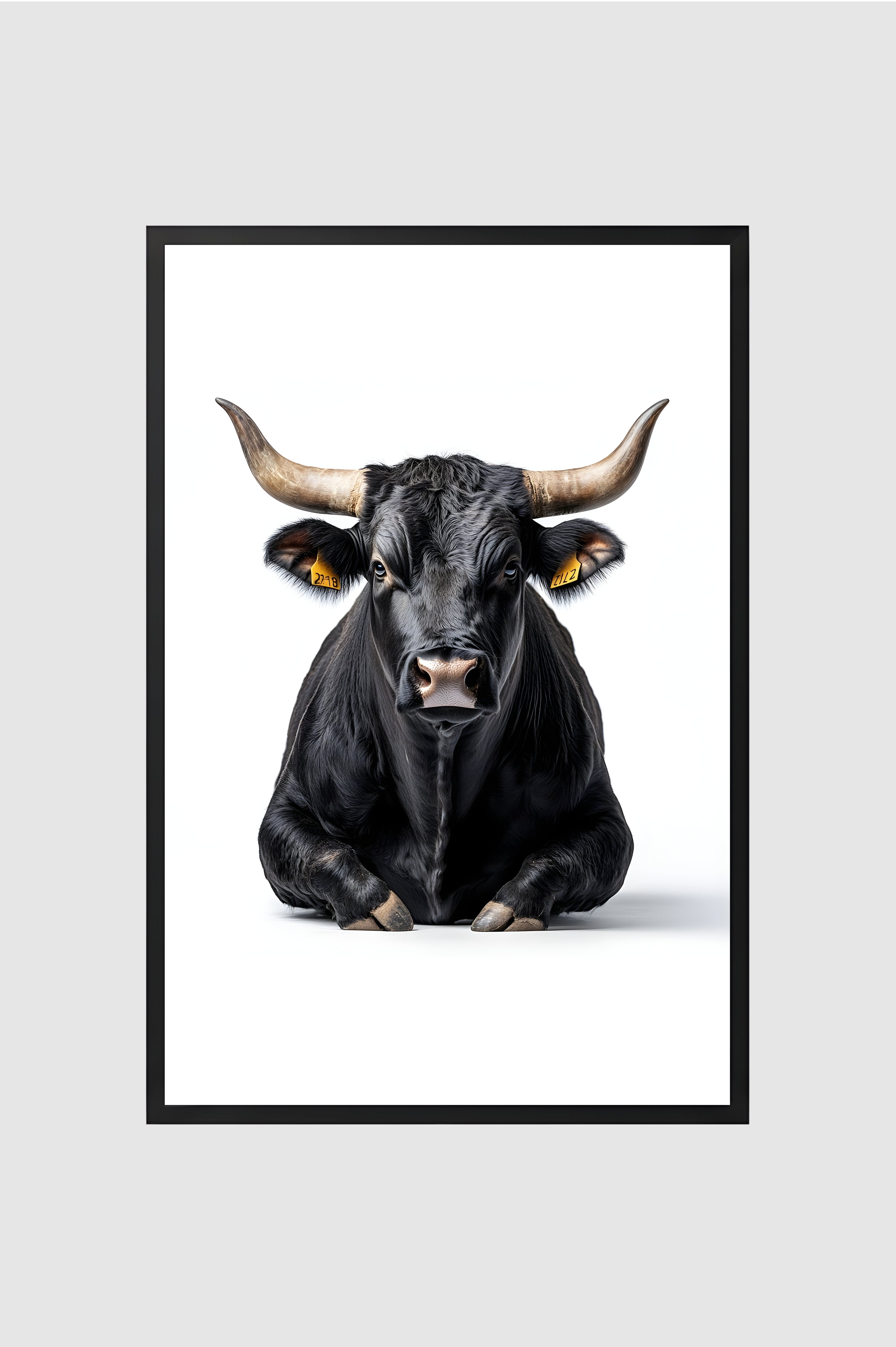 Toro no.005
