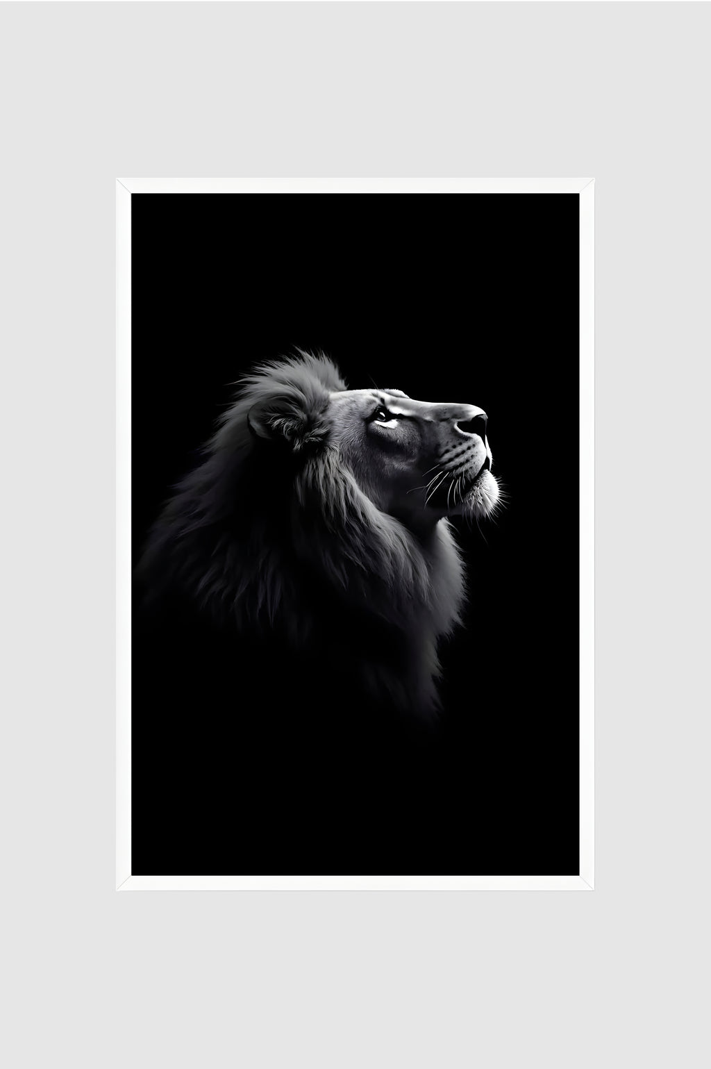 Fauna no.006