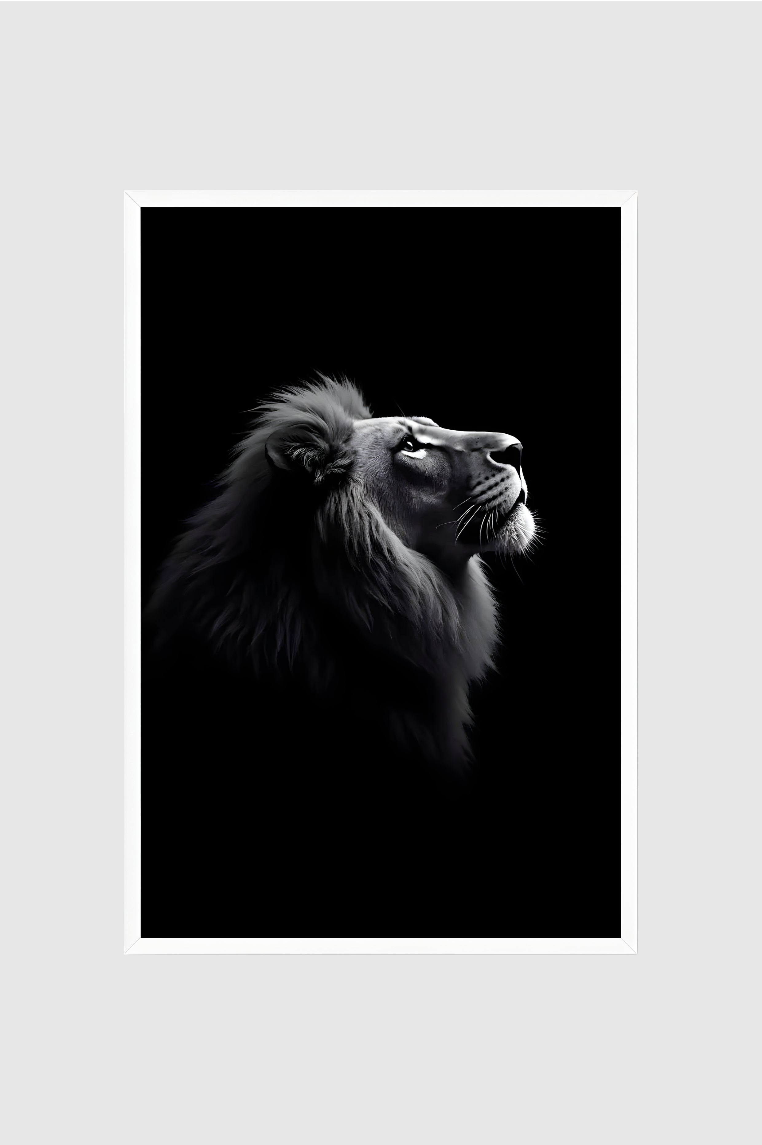 Fauna no.006