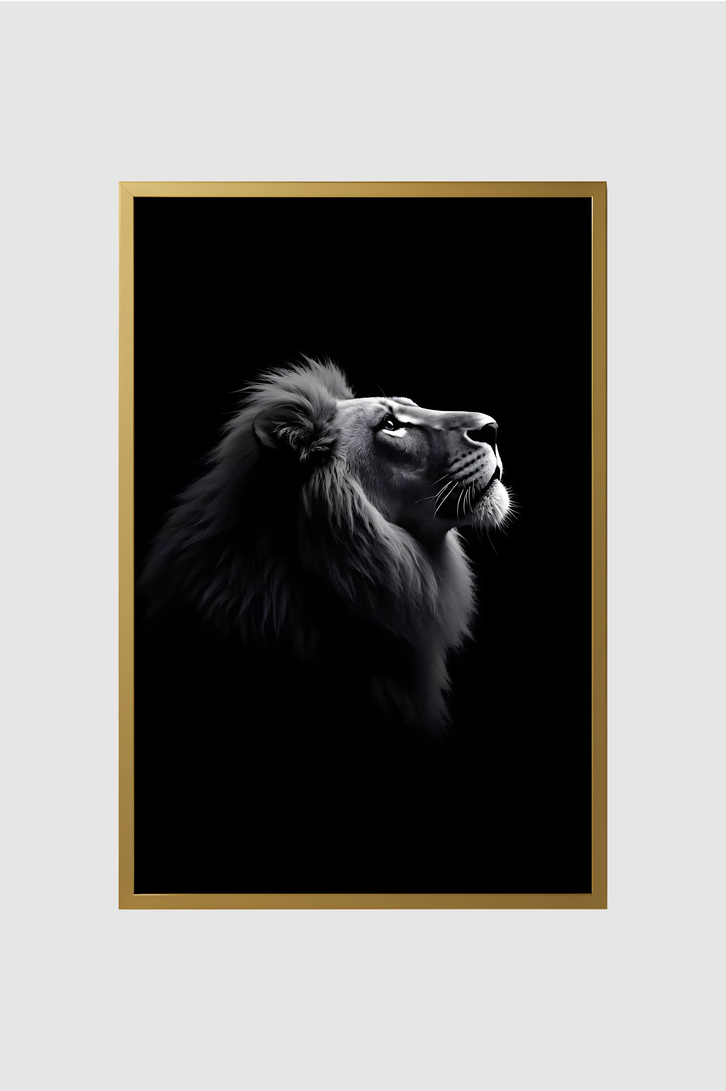 Fauna no.006