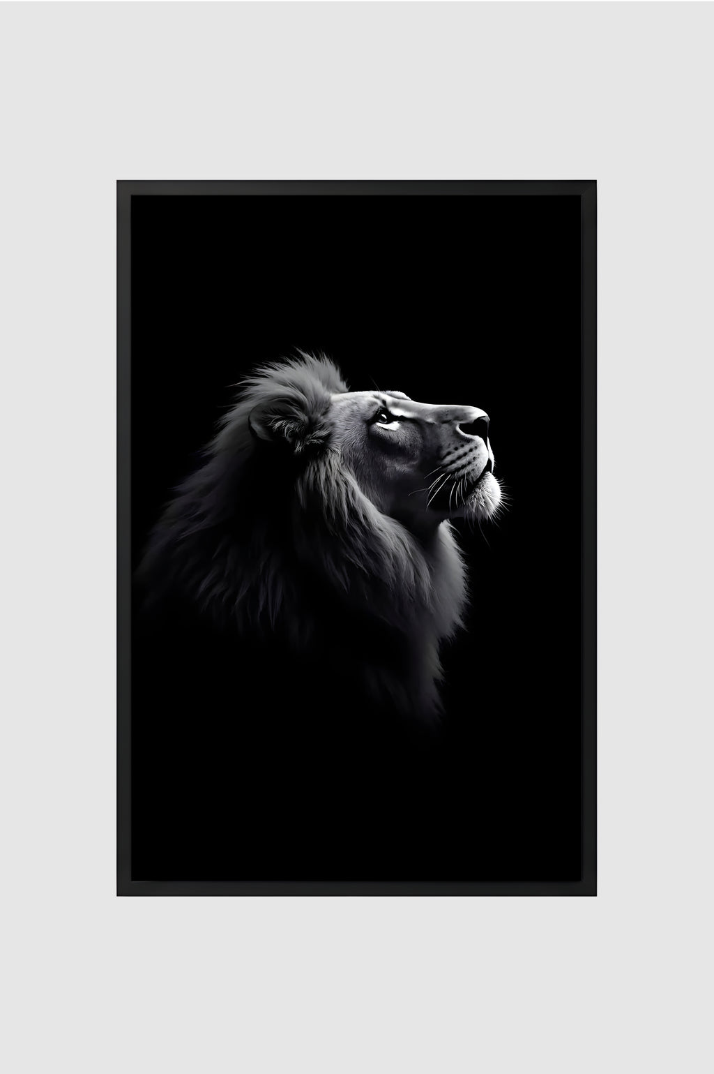 Fauna no.006