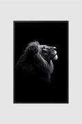 Fauna no.006