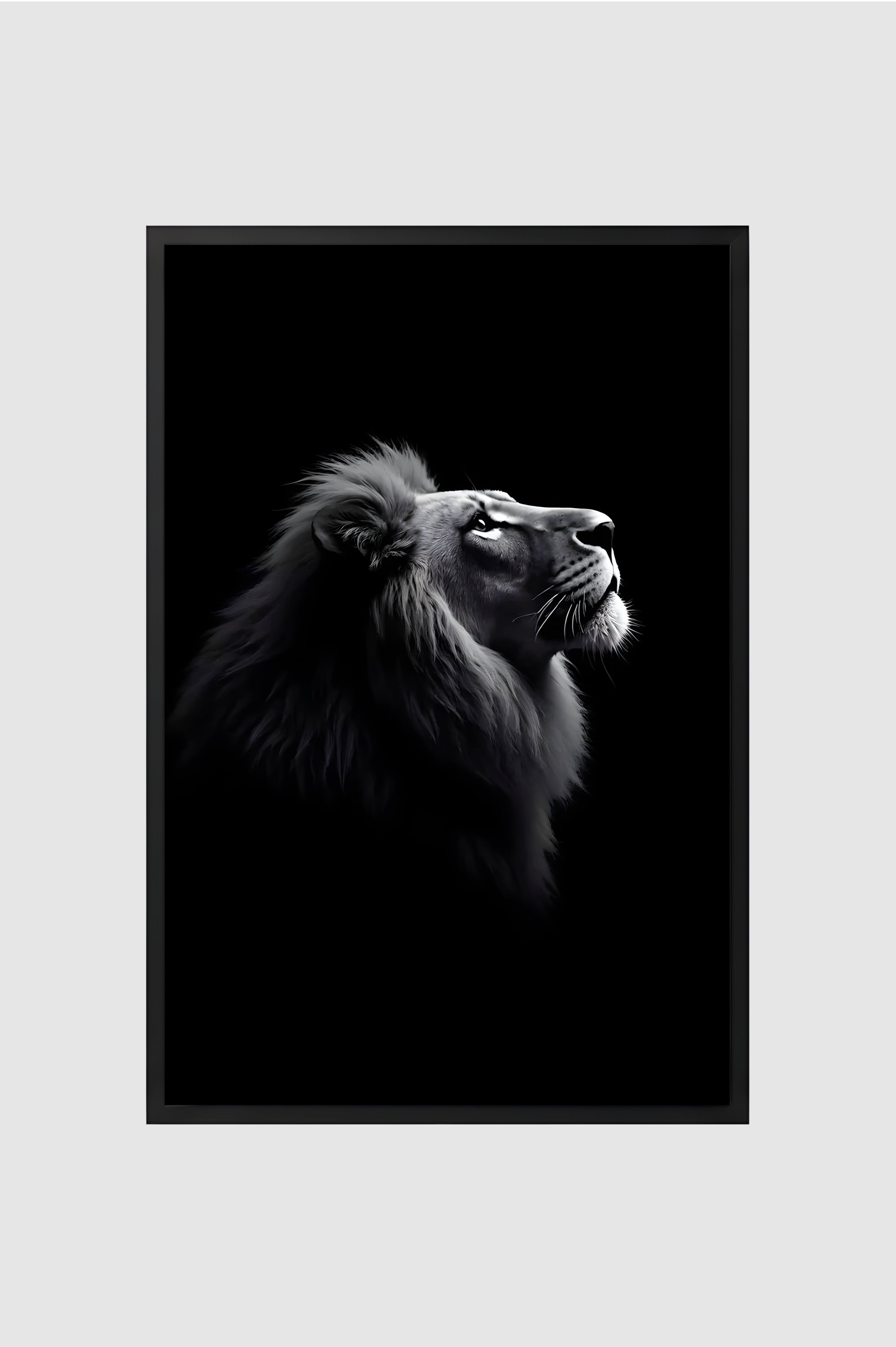 Fauna no.006