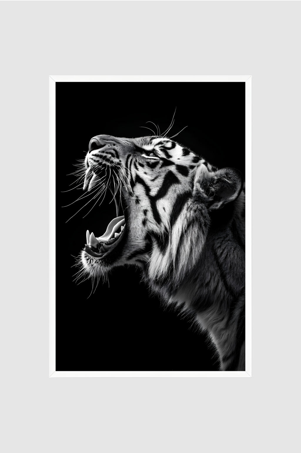 Fauna no.007