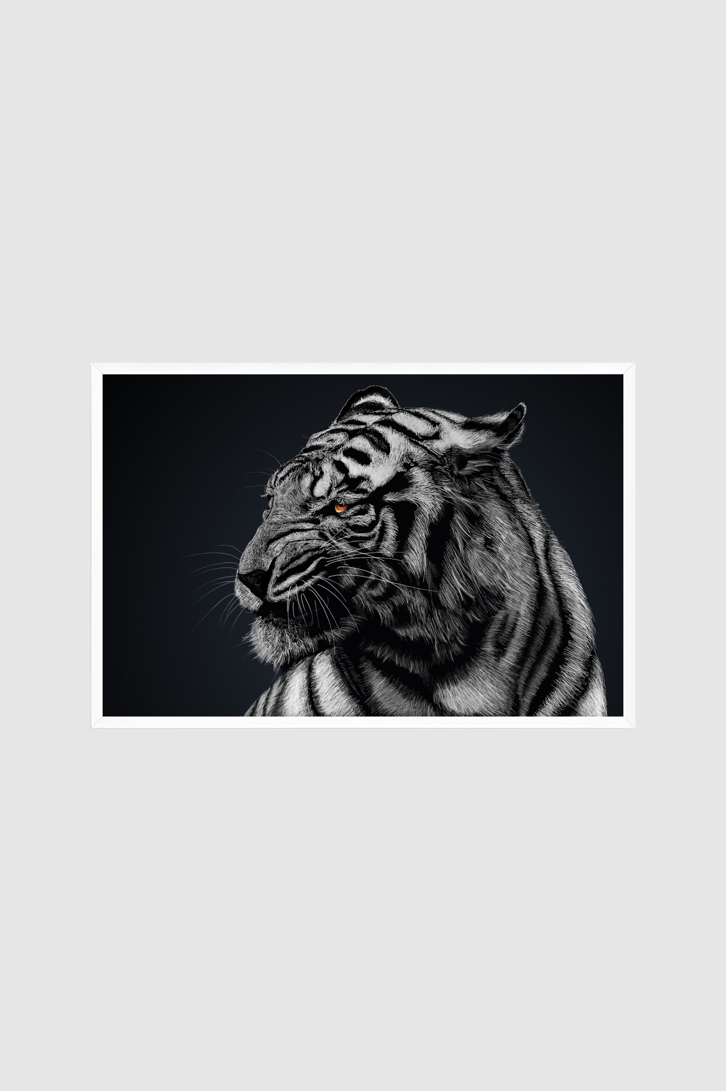 Fauna no.008