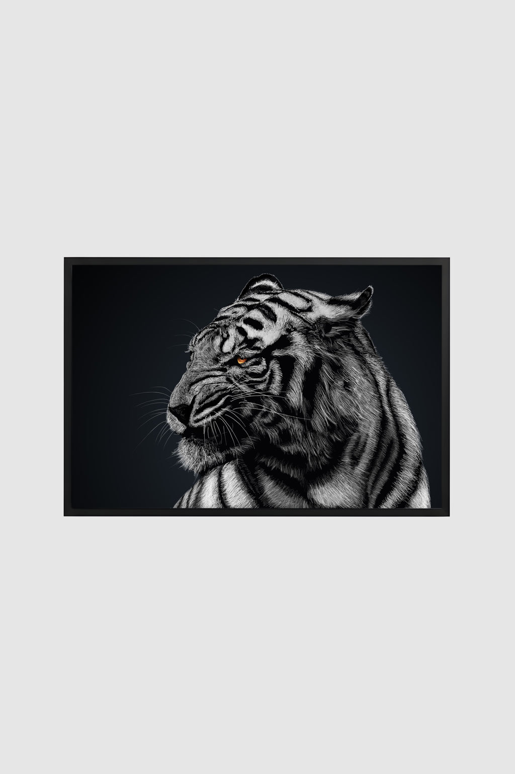 Fauna no.008