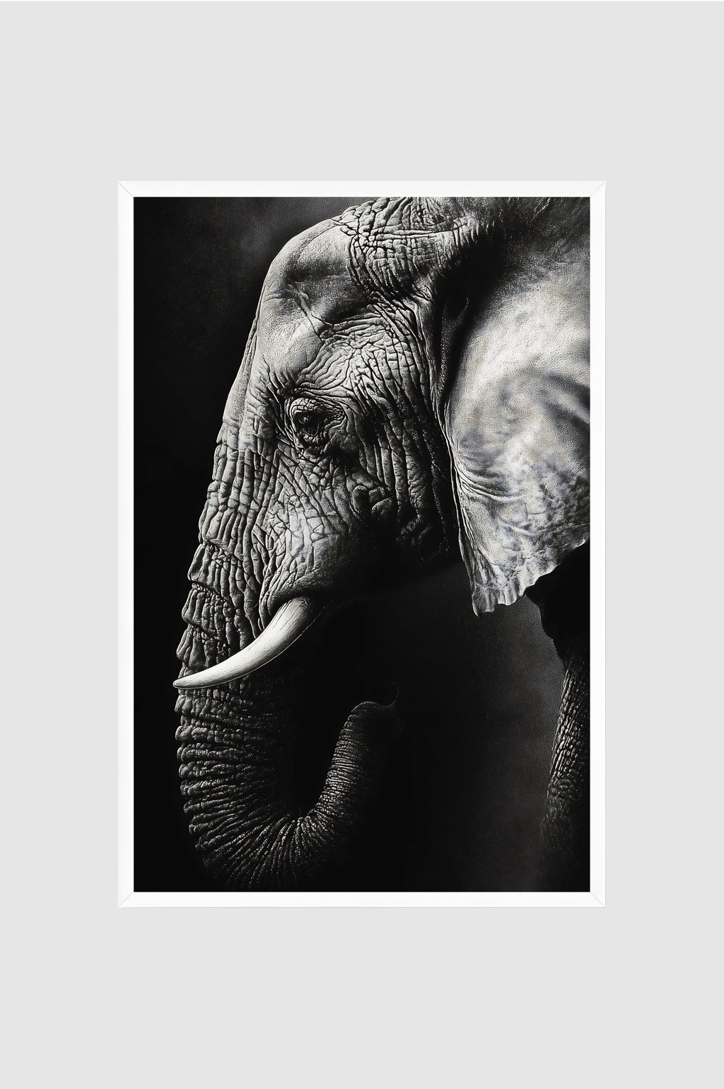 Fauna no.009