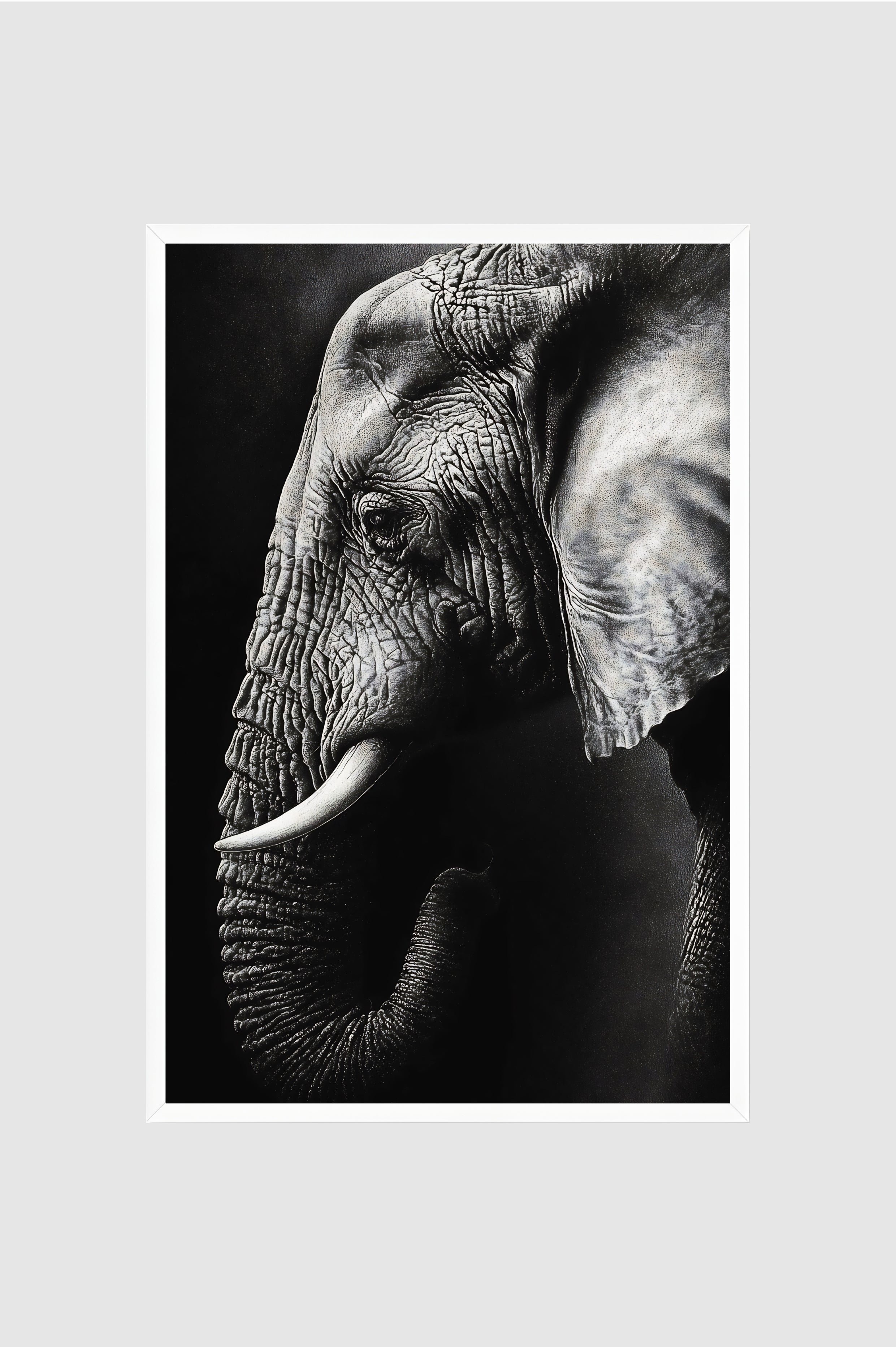Fauna no.009