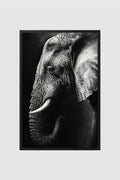 Fauna no.009