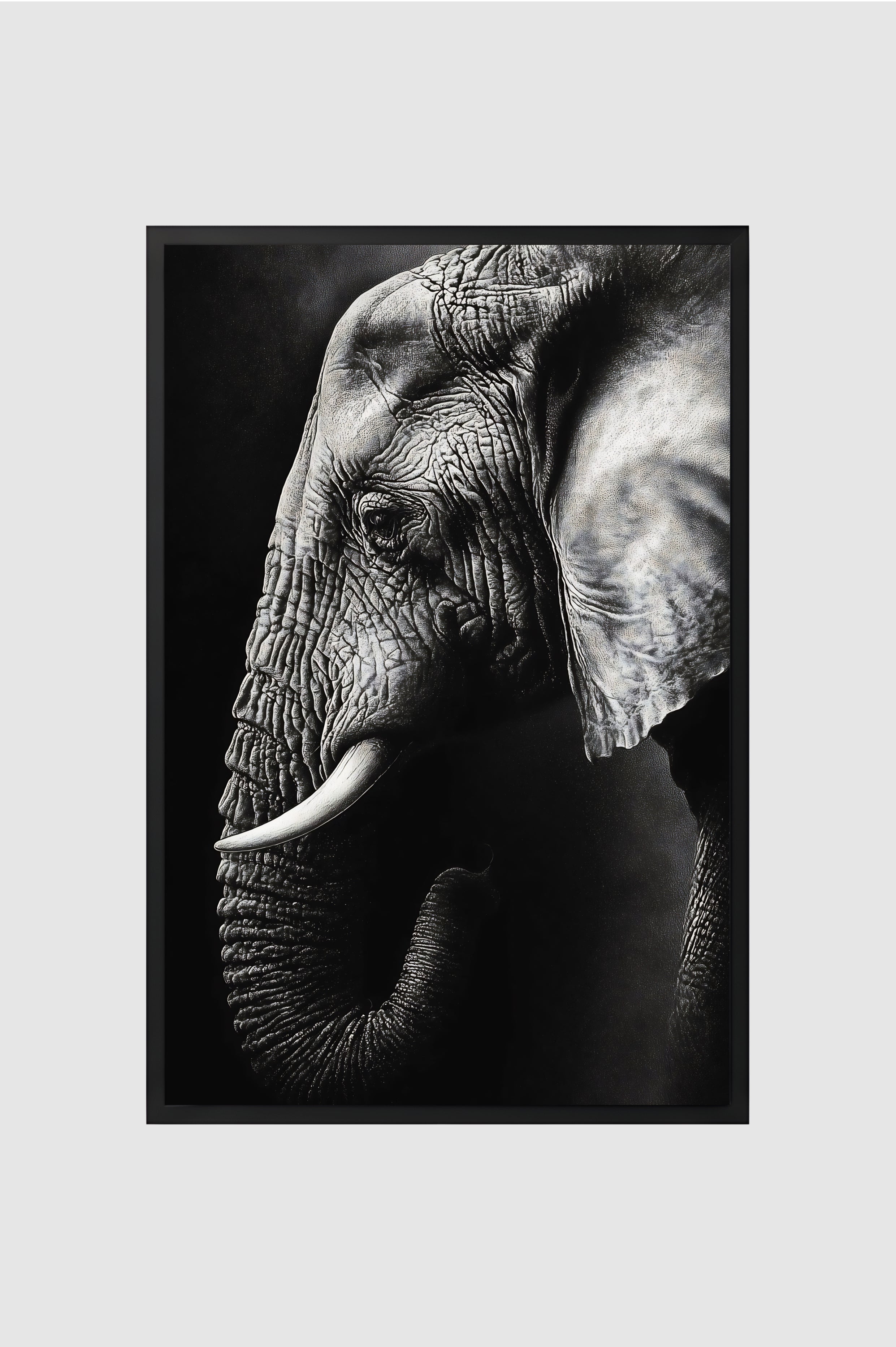 Fauna no.009